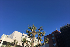 10月29日の朝の吉祥寺の青空