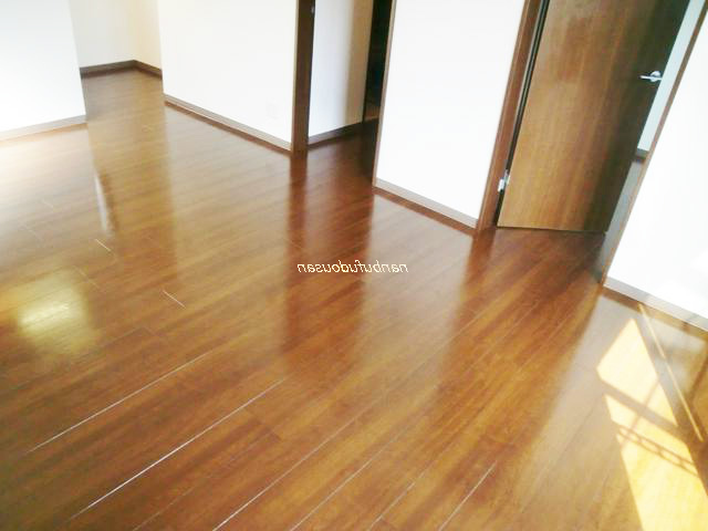 拡大してご覧になれます