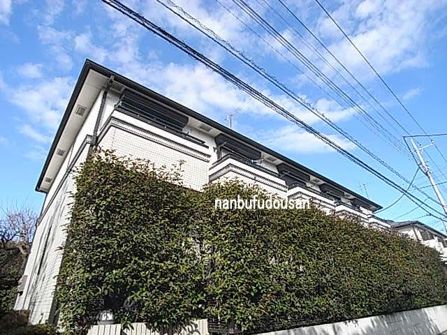 写真付！